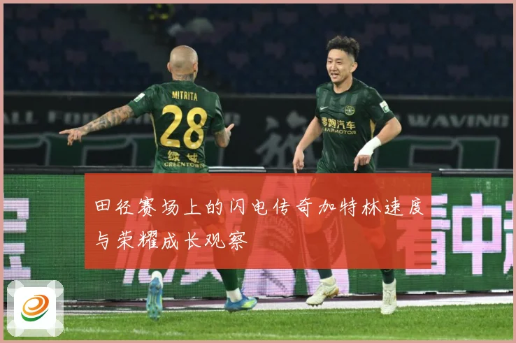 田径赛场上的闪电传奇加特林速度与荣耀成长观察