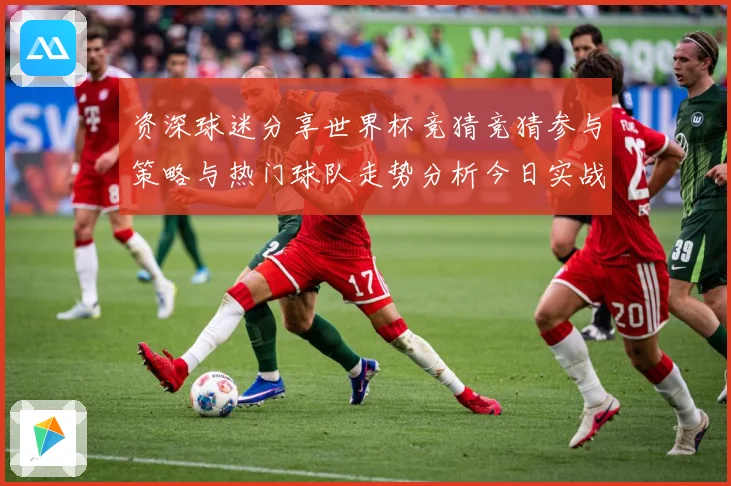 资深球迷分享世界杯竞猜竞猜参与策略与热门球队走势分析今日实战数据研判