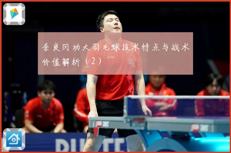 奈良冈功大羽毛球技术特点与战术价值解析（2）