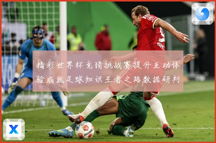 精彩世界杯竞猜挑战赛提升互动体验成就足球知识王者之路数据研判