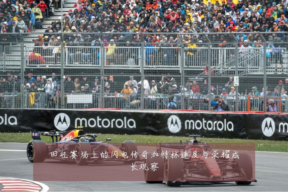 田径赛场上的闪电传奇加特林速度与荣耀成长观察